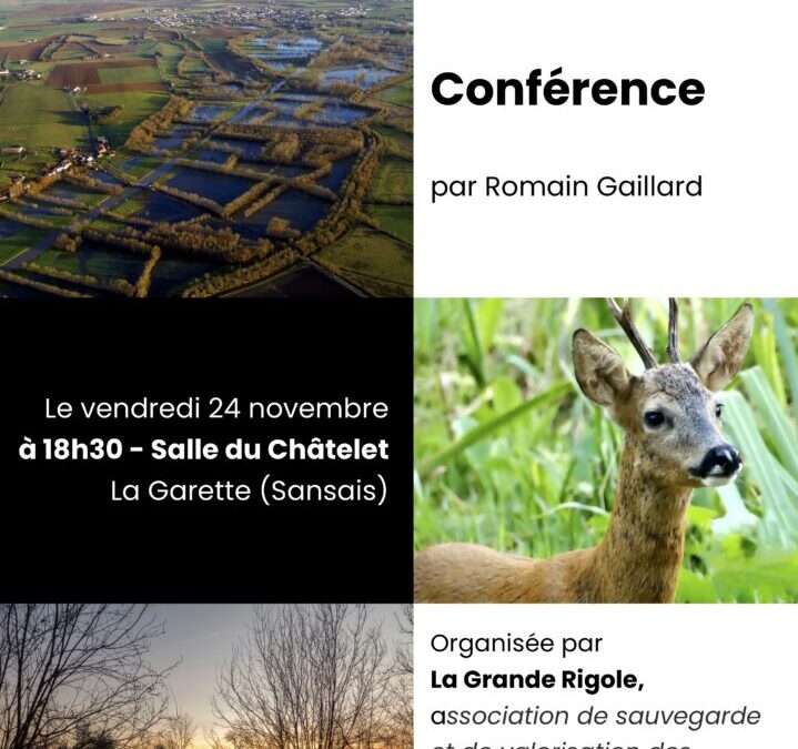 On vous embarque – Épisode 29 – L&rsquo;aventurier du marais – Conférence Instantanés du Marais mouillé