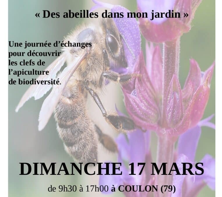 On vous embarque – Épisode 36- le rêve des abeilles